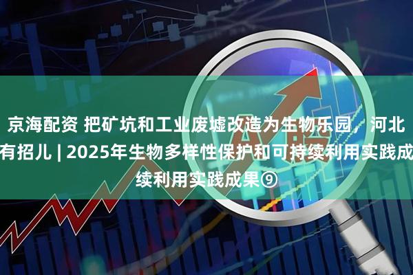 京海配资 把矿坑和工业废墟改造为生物乐园，河北邯郸有招儿 | 2025年生物多样性保护和可持续利用实践成果⑨
