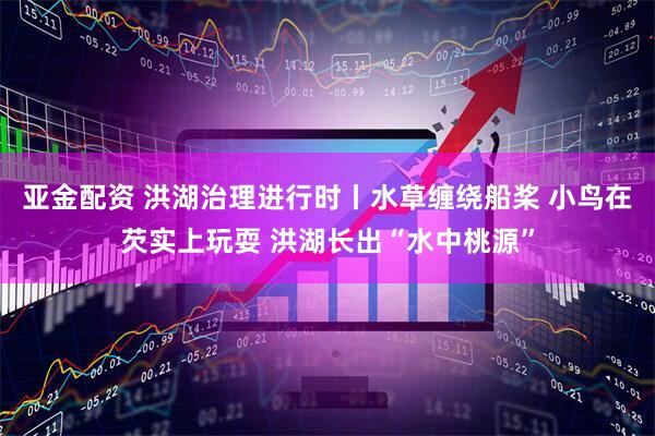 亚金配资 洪湖治理进行时丨水草缠绕船桨 小鸟在芡实上玩耍 洪湖长出“水中桃源”