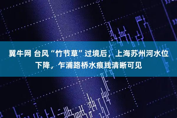 翼牛网 台风“竹节草”过境后，上海苏州河水位下降，乍浦路桥水痕线清晰可见