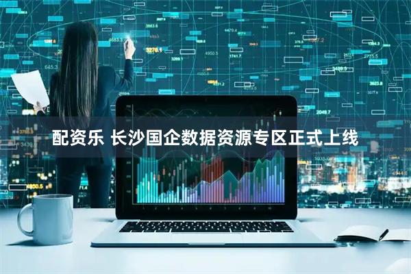 配资乐 长沙国企数据资源专区正式上线