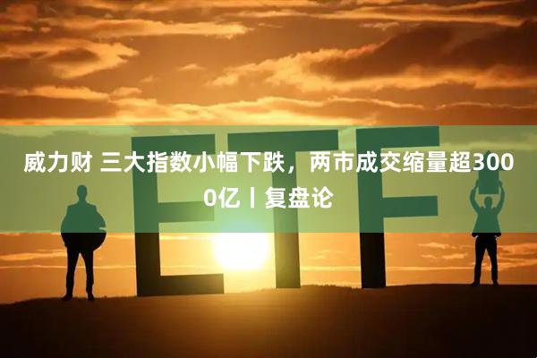 威力财 三大指数小幅下跌，两市成交缩量超3000亿丨复盘论