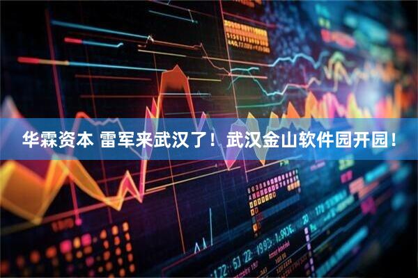华霖资本 雷军来武汉了！武汉金山软件园开园！