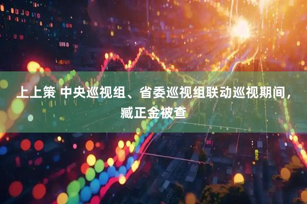 上上策 中央巡视组、省委巡视组联动巡视期间，臧正金被查