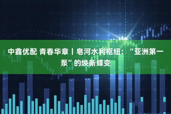 中鑫优配 青春华章丨皂河水利枢纽：“亚洲第一泵”的焕新蝶变