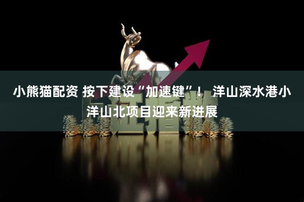 小熊猫配资 按下建设“加速键”！ 洋山深水港小洋山北项目迎来新进展