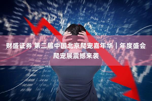 财盛证券 第二届中国北京爬宠嘉年华｜年度盛会爬宠展震撼来袭